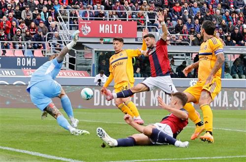 What's a Bingo Game?